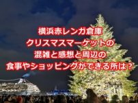 ハウステンボスイルミネーションの混雑と感想おすすめの夕ご飯とカフェは 気になることを確かめてみよう